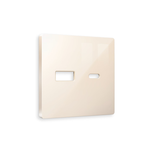 AP3110 Лицевая панель ALFA (Бежевый глянец) для розетки 2USB тип A+C QUANT