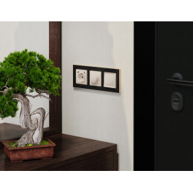 AP3105 Лицевая панель ALFA (Бежевый глянец) для электрической розетки с/з со шторками 2USB C+C QUANT