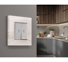 AP4040 Лицевая панель ALFA (Серебро глянец) для 2-кл выключателей с подсветкой QUANT