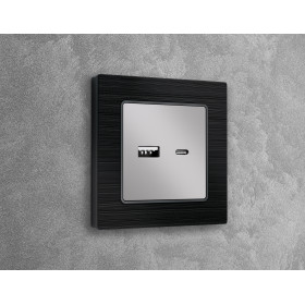 AP4110 Лицевая панель ALFA (Серебро глянец) для розетки 2USB тип A+C QUANT