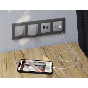 AP4158 Лицевая панель ALFA (Серебро глянец) для вывода кабеля QUANT