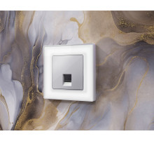 AP4120 Лицевая панель ALFA (Серебро глянец) для компьютерной/телефонной розетки RJ-45/RJ-11 QUANT