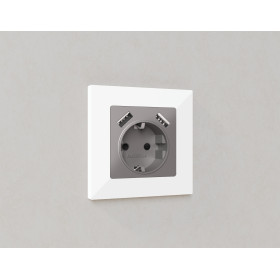 AP5090 Лицевая панель ALFA (Сталь матовый) для электрической розетки с/з со шторками 2USB A+A QUANT