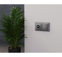 AP5058 Лицевая панель ALFA (Сталь матовый) для терморегулятора теплого пола с цифровым дисплеем QUANT