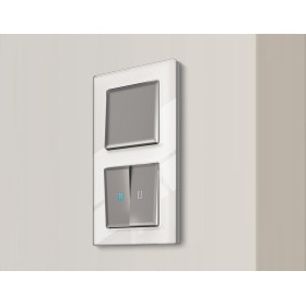 AP5010 Лицевая панель ALFA (Сталь матовый) для 1-кл выключателей QUANT