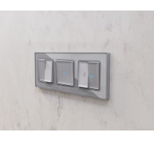 AP5030 Лицевая панель ALFA (Сталь матовый) для 2-кл выключателей QUANT