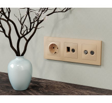 AP6125 Лицевая панель ALFA (Шампань) для компьютерной/телефонной + TV розетки RJ-45/RJ-11 QUANT