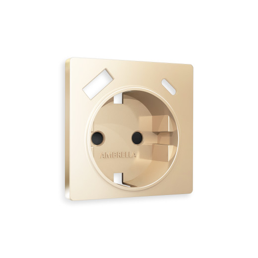 AP6100 Лицевая панель ALFA (Шампань) для электрической розетки с/з со шторками 2USB A+C QUANT