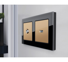 AP6130 Лицевая панель ALFA (Шампань) для TV розетки QUANT