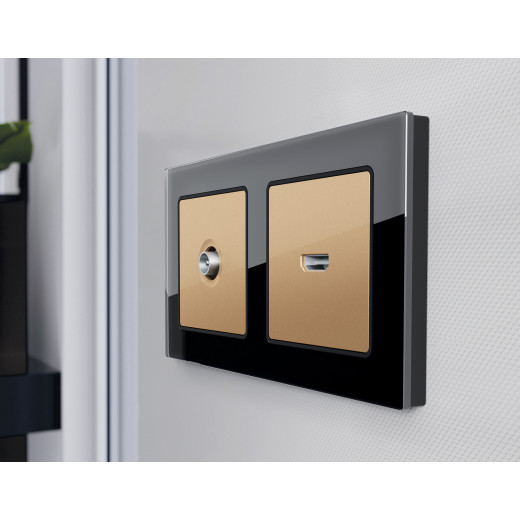 AP6130 Лицевая панель ALFA (Шампань) для TV розетки QUANT