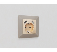 AP6090 Лицевая панель ALFA (Шампань) для электрической розетки с/з со шторками 2USB A+A QUANT