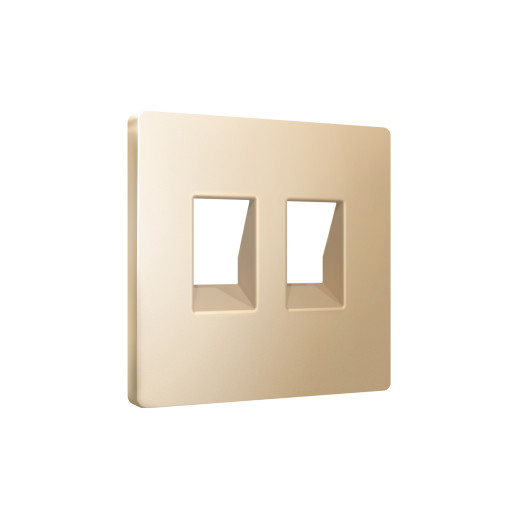 AP6121 Лицевая панель ALFA (Шампань) для компьютерной/телефонной двойной розетки RJ-45/RJ-11 QUANT