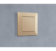 AP6160 Лицевая панель ALFA (Шампань) заглушка для суппорта QUANT