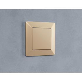 AP6160 Лицевая панель ALFA (Шампань) заглушка для суппорта QUANT