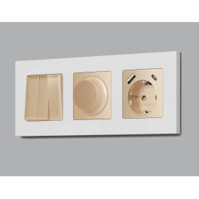 AP6055 Лицевая панель ALFA (Шампань) для светорегулятора универсального QUANT