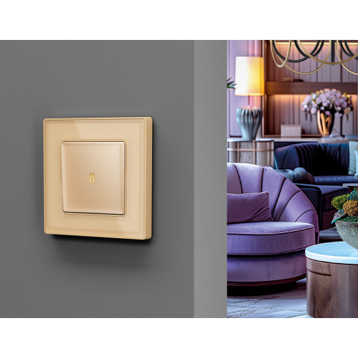 AP6020 Лицевая панель ALFA (Шампань) для 1-кл выключателей с подсветкой QUANT