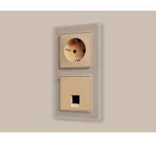 AP6120 Лицевая панель ALFA (Шампань) для компьютерной/телефонной розетки RJ-45/RJ-11 QUANT