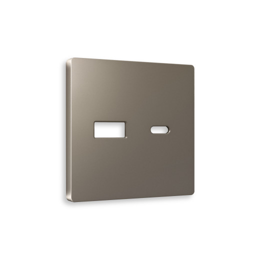 AP6410 Лицевая панель ALFA (Темная бронза матовый) для розетки 2USB тип A+C QUANT