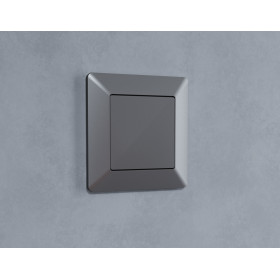 AP6660 Лицевая панель ALFA (Антрацит серый) заглушка для суппорта QUANT