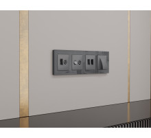 AP6658 Лицевая панель ALFA (Антрацит серый) для вывода кабеля QUANT