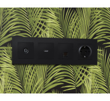 AP8120 Лицевая панель ALFA (Черный матовый) для компьютерной/телефонной розетки RJ-45/RJ-11 QUANT