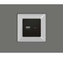 AP8110 Лицевая панель ALFA (Черный матовый) для розетки 2USB тип A+C QUANT