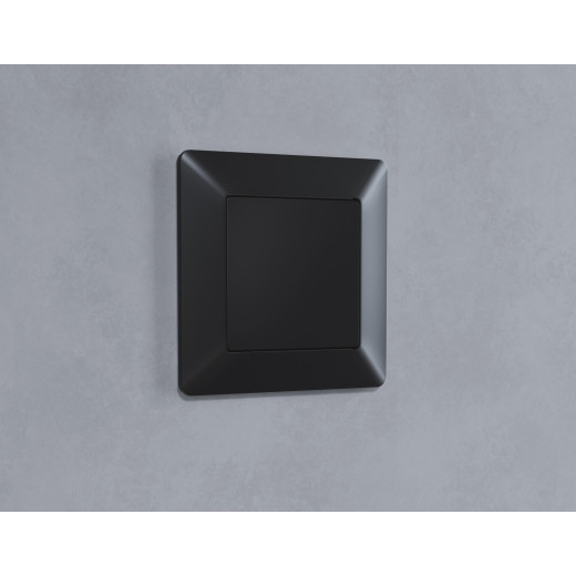 AP8160 Лицевая панель ALFA (Черный матовый) заглушка для суппорта QUANT