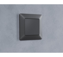 AP9160 Лицевая панель ALFA (Графит Мягкое касание) заглушка для суппорта QUANT