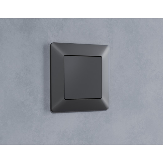 AP9160 Лицевая панель ALFA (Графит Мягкое касание) заглушка для суппорта QUANT