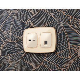 OP3110 Лицевая панель OMEGA (Бежевый глянец) для розетки 2USB тип A+C QUANT