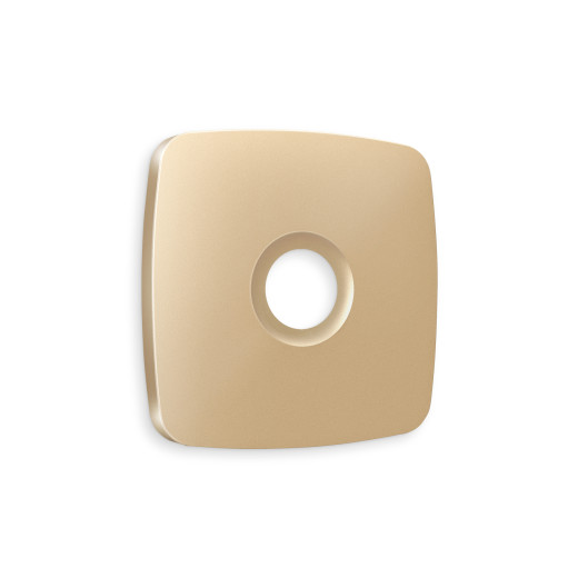 OP6130 Лицевая панель OMEGA (Шампань) для TV розетки QUANT