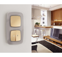 OP6010 Лицевая панель OMEGA (Шампань) для 1-кл выключателей QUANT