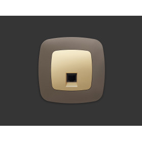 OP6120 Лицевая панель OMEGA (Шампань) для компьютерной/телефонной розетки RJ-45/RJ-11 QUANT