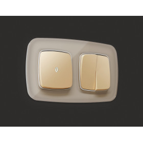 OP6020 Лицевая панель OMEGA (Шампань) для 1-кл выключателей с подсветкой QUANT