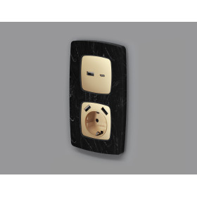 OP6110 Лицевая панель OMEGA (Шампань) для розетки 2USB тип A+C QUANT