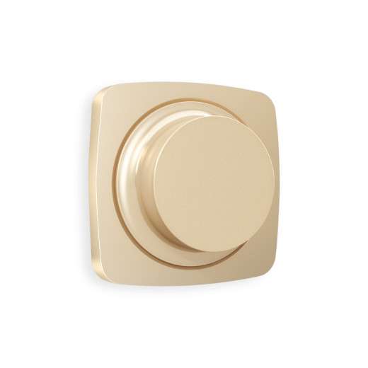 OP6055 Лицевая панель OMEGA (Шампань) для светорегулятора универсального QUANT