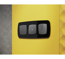 OP6520 Лицевая панель OMEGA (Антрацит серый) для 1-кл выключателей с подсветкой QUANT