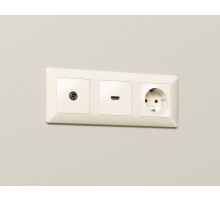 AP3330 Лицевая панель ALFA (Бежевый матовый) для TV розетки QUANT