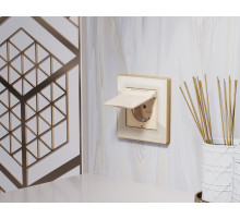 AP3280 Лицевая панель ALFA (Бежевый матовый) для электрической розетки с/з со шторками и крышкой IP44 QUANT