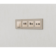 AP3321 Лицевая панель ALFA (Бежевый матовый) для компьютерной/телефонной двойной розетки RJ-45/RJ-11 QUANT