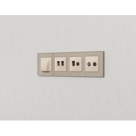 AP3321 Лицевая панель ALFA (Бежевый матовый) для компьютерной/телефонной двойной розетки RJ-45/RJ-11 QUANT