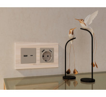 AP3690 Лицевая панель ALFA (Серо-бежевый матовый) для электрической розетки с/з со шторками 2USB A+A QUANT