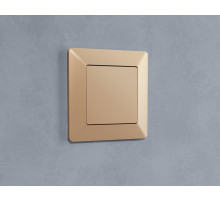 AF110601 Рамка ALFA Line (Шампань) 1-ая