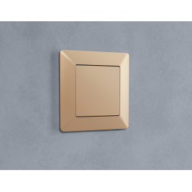 AF110601 Рамка ALFA Line (Шампань) 1-ая