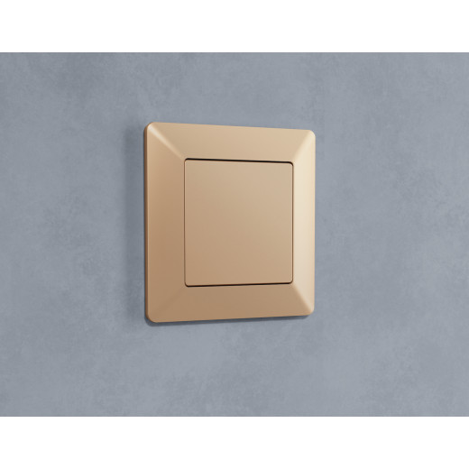 AF110601 Рамка ALFA Line (Шампань) 1-ая