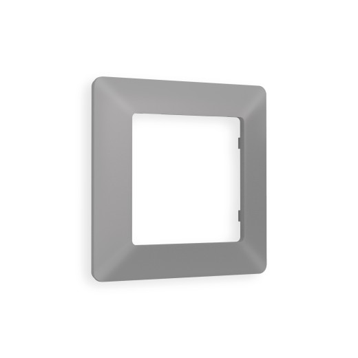 AF110501 Рамка ALFA Line (Сталь матовый) 1-ая