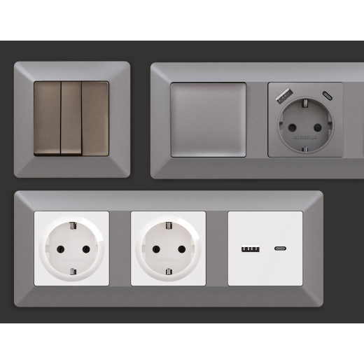 AF110501 Рамка ALFA Line (Сталь матовый) 1-ая