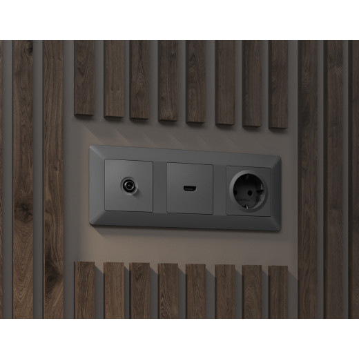 AF110501 Рамка ALFA Line (Сталь матовый) 1-ая