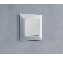 AF110401 Рамка ALFA Line (Серебро глянец) 1-ая