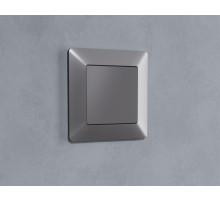 AF110501 Рамка ALFA Line (Сталь матовый) 1-ая